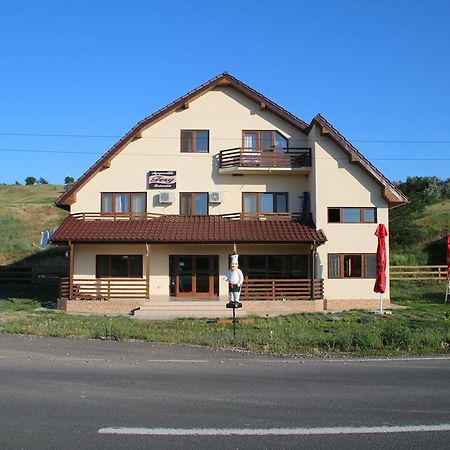 Pensiunea Fery Slobozia-Oancea Extérieur photo