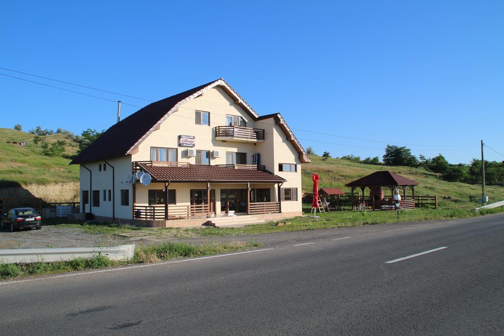 Pensiunea Fery Slobozia-Oancea Extérieur photo