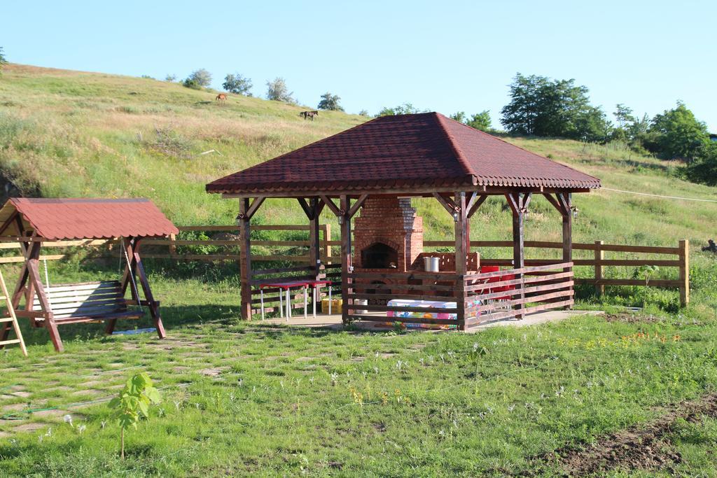 Pensiunea Fery Slobozia-Oancea Extérieur photo